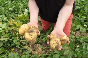 10432959_10202400154633223_4150685251987363176_n